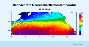 Beobachtete Meeresoberflächentemperatur, © NOAA