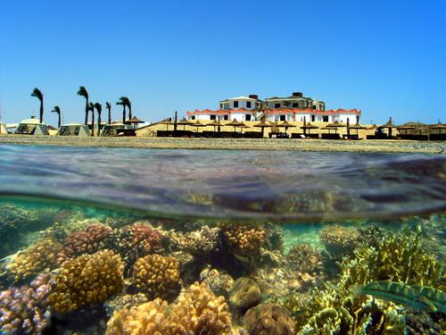 Orca Basis Ägypten Coral Garden Resort