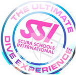 Logo SSI