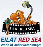 Eilat Red Sea Fotofestival