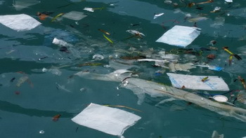 Plastikmüll in den Gewässern der Balearen - GOB