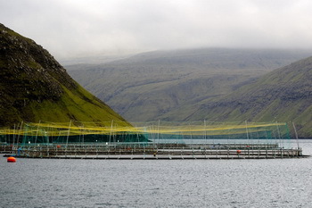 Aquakulturanlage vor den Färöer-Inseln, © Jan Steffen, GEOMAR