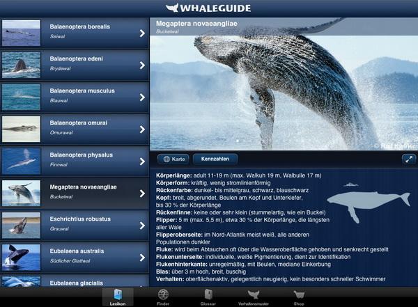 Whale Guide App - Andrea Ramalho und Ralf Kiefner