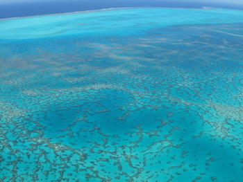Korallenriffe in Gefahr - © D.Laffoley (www.awi.de)