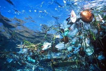Treibende Müllberge im Meer