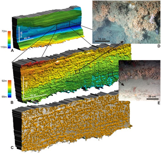 Innovative Mapping Reveals Cold-Water Coral Refuge in Submarine Canyon, © 2011 Huvenne et al.