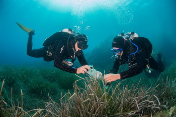 Olga Jeske (rechts, DSMZ) und Peter Hornburger nehmen freischwebend Proben ohne das empfindliche Ökosystem zu beschädigen, © Christian Jogler/DSMZ