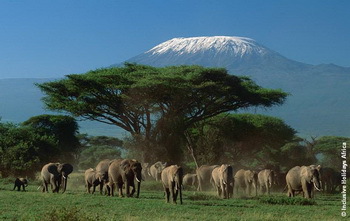 Kenia - Tauchen, Safari, Trekking