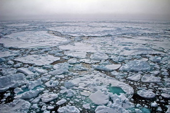 Arktisches Meereis in der Framstraße - © Sebastian Menze, Alfred-Wegener-Institut