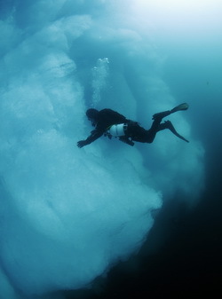 Tauchen an einem Eisberg - © Sven Gust