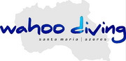 Logo Wahoo Diving