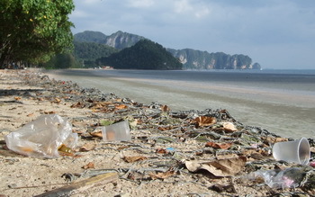 Plastikverschmutzung der Meere, © Kanyarat Kosavisutte Green Fins Association, Marine Photobank