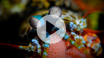 Bali - © Evan Sherman Bali - © Evan Sherman