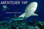 DiveInside - Abenteuer Yap